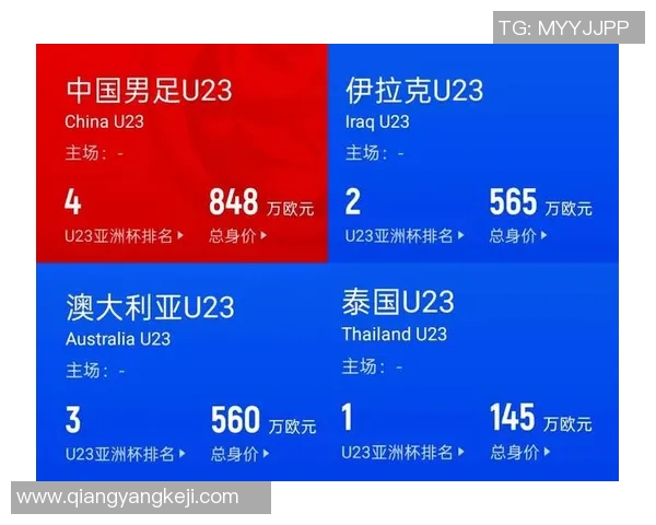 亚洲杯激战伊朗对决伊拉克球迷期待精彩对抗与历史交锋